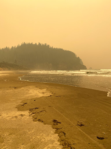 Roofing Contractor «A Good Roof», reviews and photos, 5815 Sea View Ave, Tillamook, OR 97141, USA