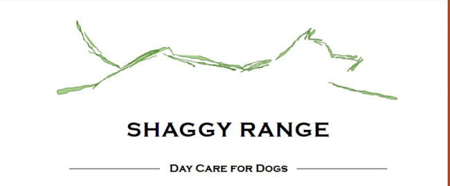 Shaggy Range - Dog trainer