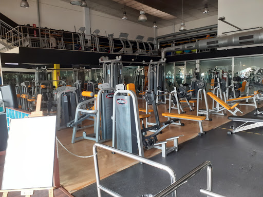 Lorgavisport en Palomares del Río, Sevilla