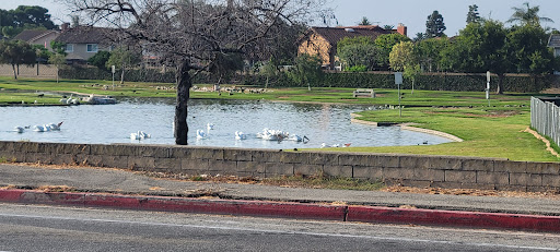 Park «Greer Park», reviews and photos, 6900 W McFadden Ave, Huntington Beach, CA 92647, USA