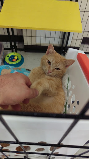 Pet Supply Store «Pet Supplies Plus», reviews and photos, 15034 San Pedro Ave Suite A, San Antonio, TX 78232, USA