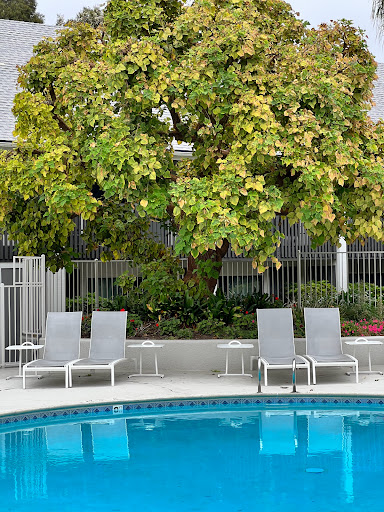 Carlsbad by the Sea Hotel image