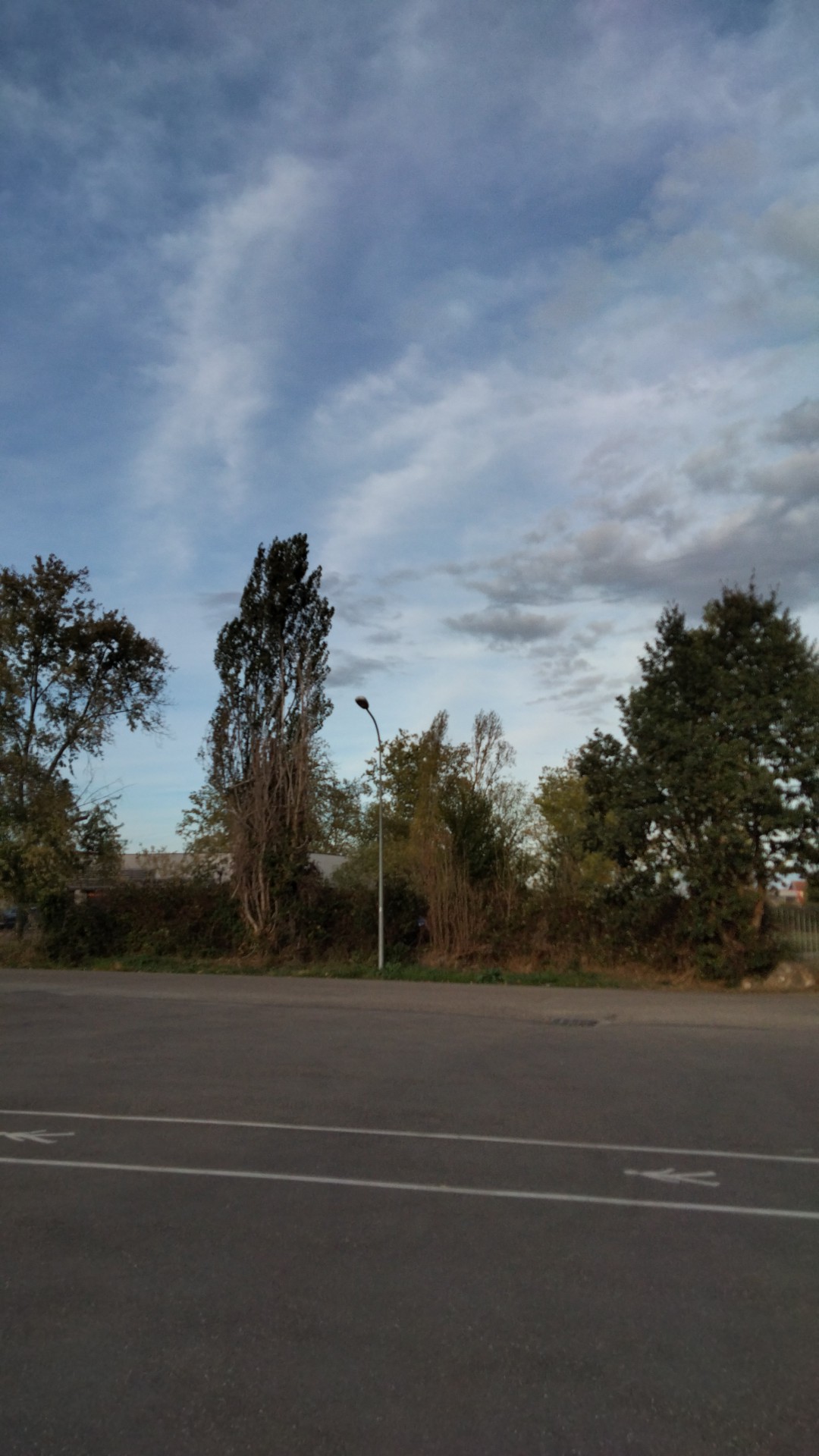 Photo n° 48 de l'avis de Francisco.a fait le 24/10/2022 à 15:38