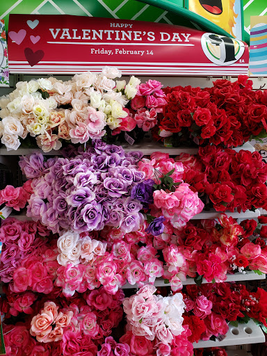 Dollar Store «Dollar Tree», reviews and photos, 7041 Brookfield Plaza, Springfield, VA 22150, USA