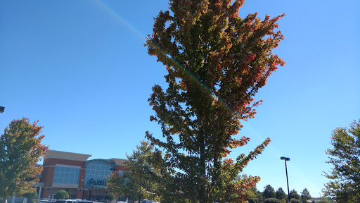 Supermarket «Publix Super Market at Summit Point», reviews and photos, 840 Glynn St S, Fayetteville, GA 30214, USA