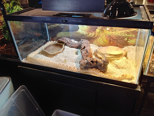 Pet Store «Pet Kingdom», reviews and photos, 4650 S Cleveland Ave, Fort Myers, FL 33907, USA