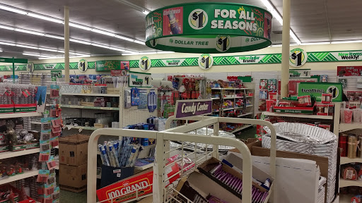 Dollar Store «Dollar Tree», reviews and photos, 1038 U.S. 9, Parlin, NJ 08859, USA