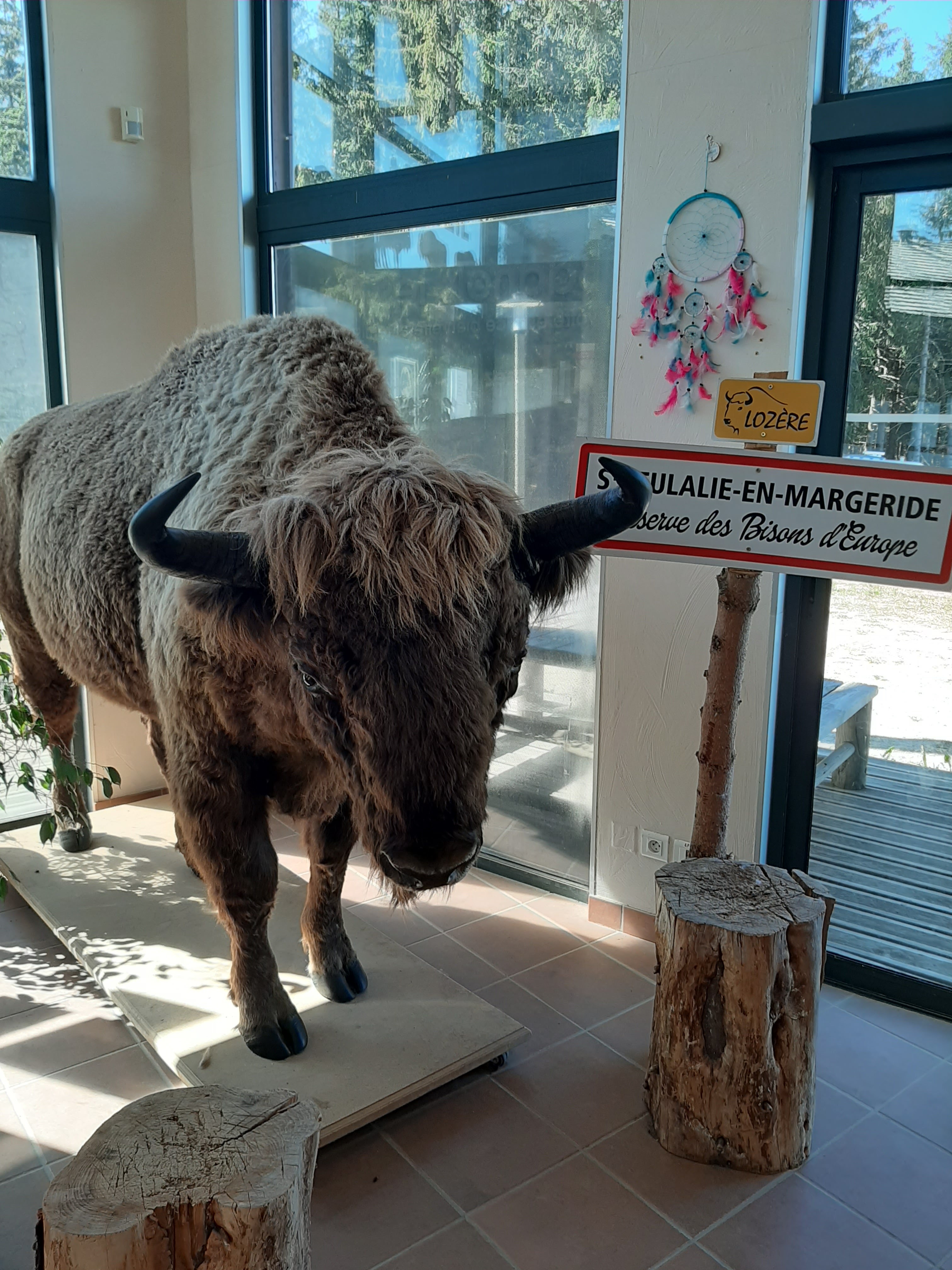 Photo n° 3 de l'avis de Benji.A fait le 27/07/2020 à 21:01