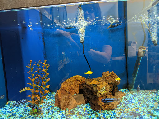 Pet Supply Store «Petco Animal Supplies», reviews and photos, 3464 Towne Blvd, Franklin, OH 45005, USA