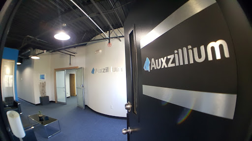Auxzillium - IT Services & Solutions