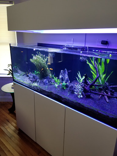 Pet Supply Store «Petco Animal Supplies», reviews and photos, 438 Southbridge St, Auburn, MA 01501, USA