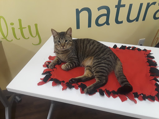 Pet Supply Store «PetPeople», reviews and photos, 3330 Washtenaw Ave, Ann Arbor, MI 48104, USA