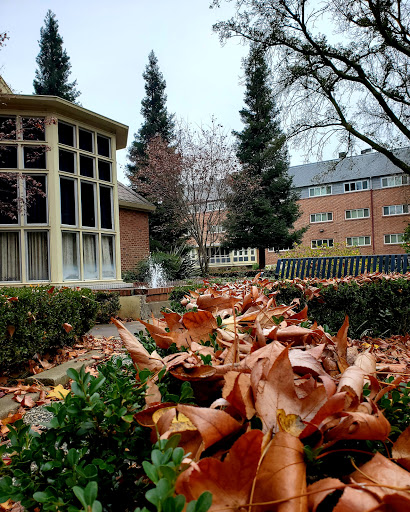 University of the Pacific