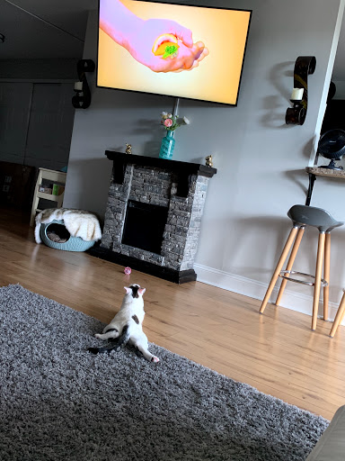 Pet Supply Store «PetSmart», reviews and photos, 220 Commerce Blvd, Fairless Hills, PA 19030, USA