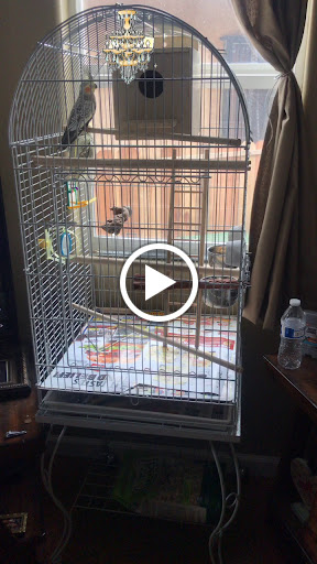 Pet Supply Store «Azteca Pet Shop», reviews and photos, 4431 Whittier Blvd, Los Angeles, CA 90022, USA