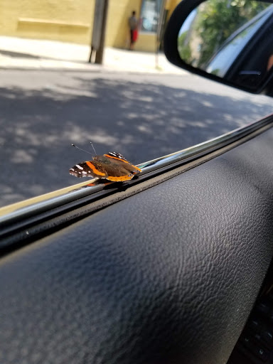 Laundromat «Giant Laundry», reviews and photos, 2861 Webster Ave, Bronx, NY 10458, USA