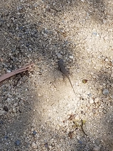 Park «Heritage Hill Historical Park», reviews and photos, 25151 Serrano Rd, Lake Forest, CA 92630, USA