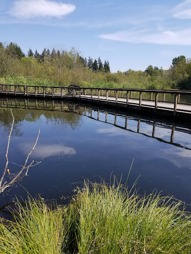 Park «Scriber Lake Park», reviews and photos, 5601 198th St SW, Lynnwood, WA 98036, USA