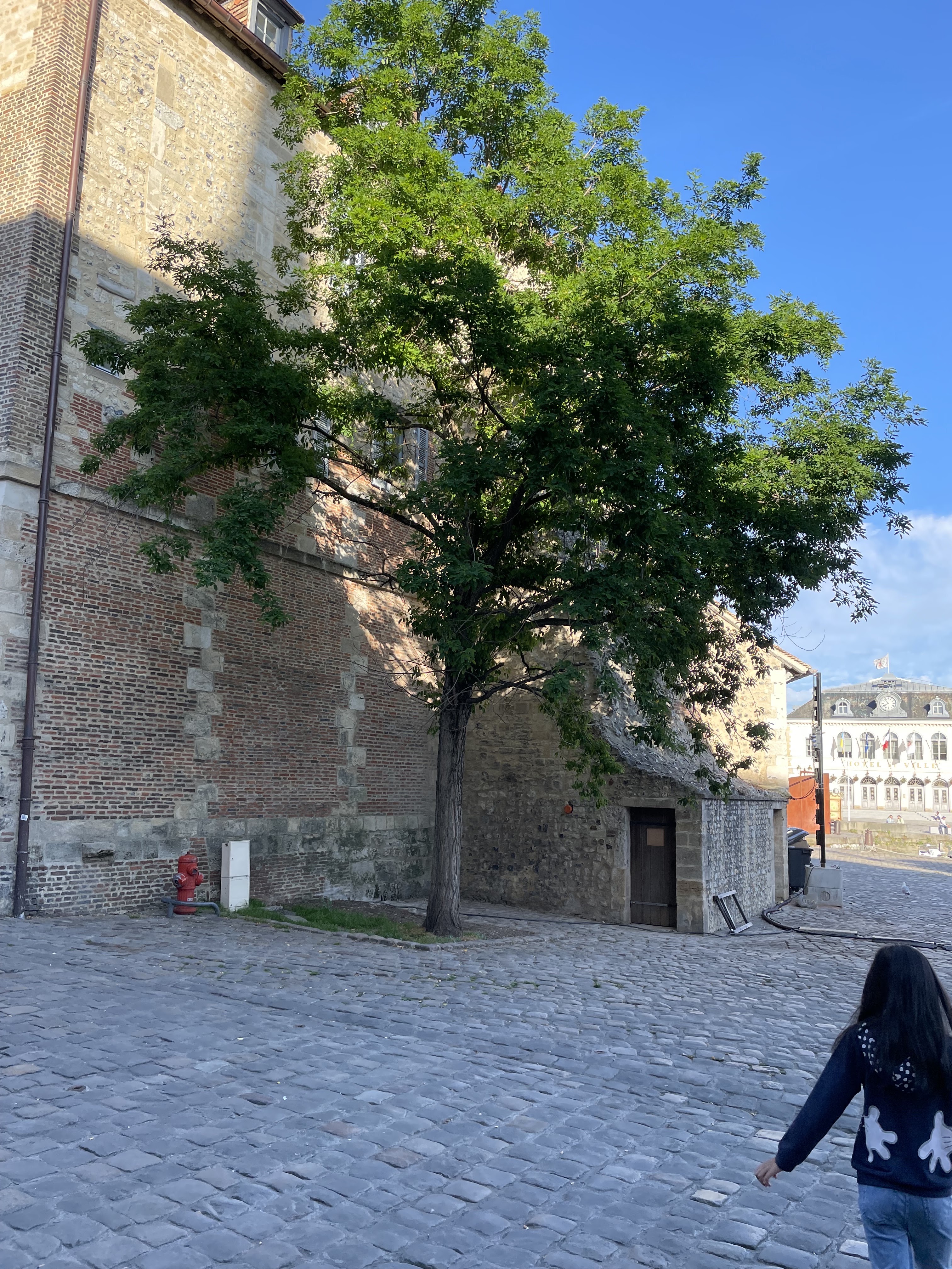 Photo n° 3 de l'avis de adhie.u fait le 31/05/2023 à 16:21