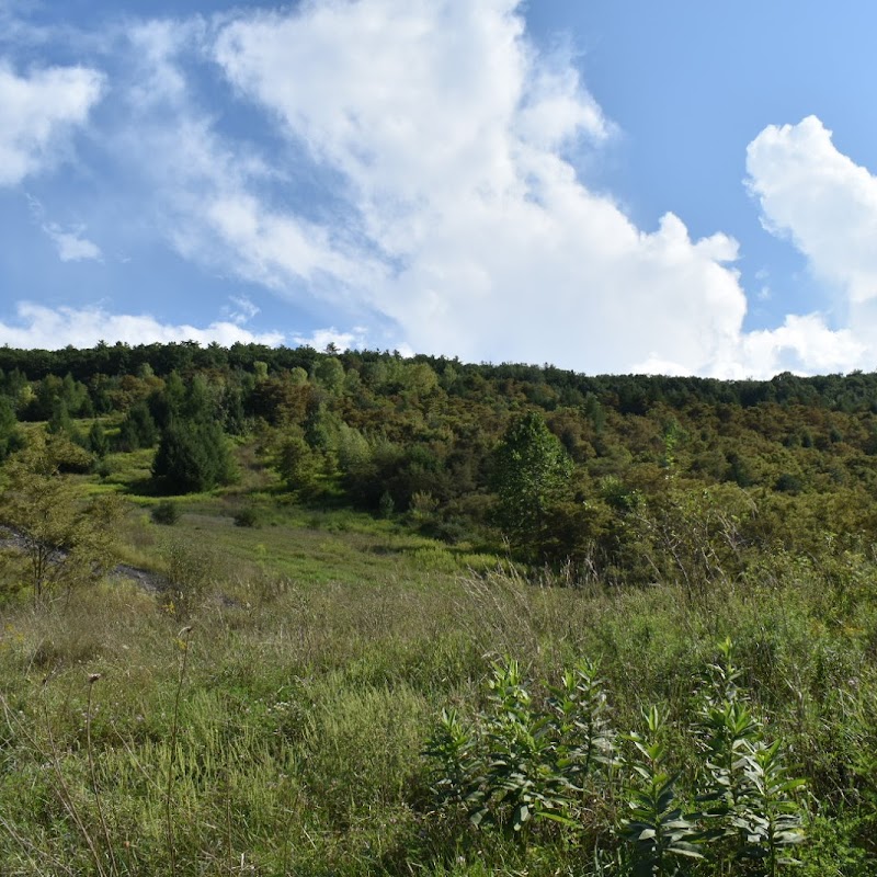 Penobscot Ridge Mountain Bike Trail