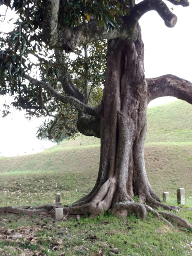 State Park «Vicksburg National Military Park», reviews and photos, 3201 Clay St, Vicksburg, MS 39183, USA