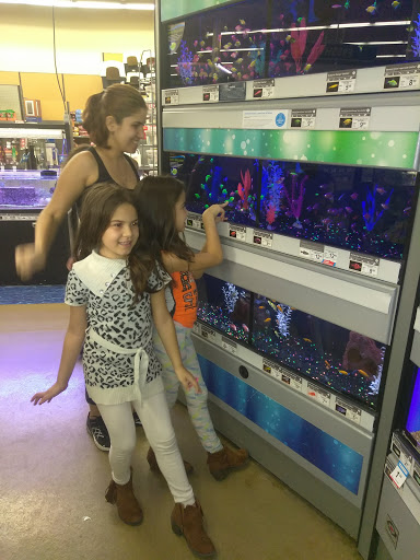 Pet Supply Store «Petco Animal Supplies», reviews and photos, 1753 St Lucie W Blvd, Port St Lucie, FL 34986, USA