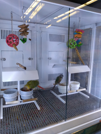 Pet Supply Store «Petco Animal Supplies», reviews and photos, 3000 Gateway St #220, Springfield, OR 97477, USA