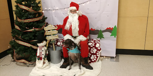 Pet Supply Store «PetSmart», reviews and photos, 14 Crossing Way #2, Augusta, ME 04330, USA