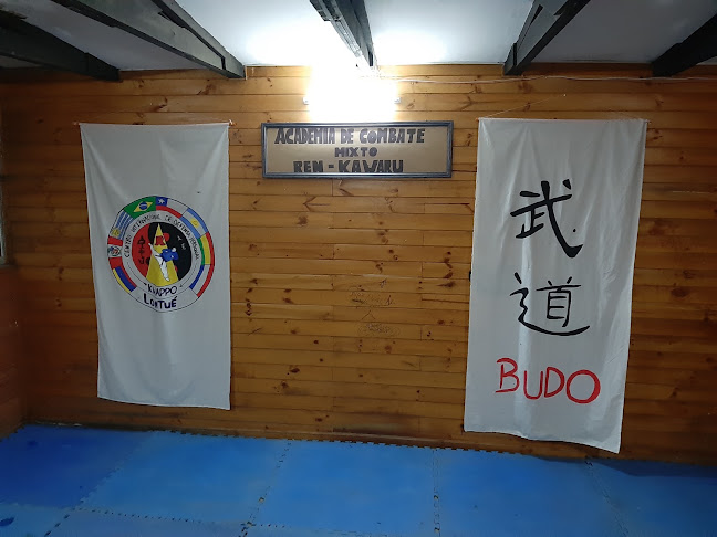 Opiniones de Dojo Ren Kawaru Budo Kan y club de boxeo Patricio Bravo en Molina - Gimnasio