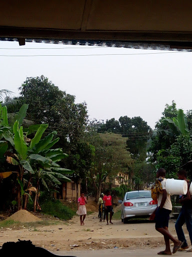 C.Award Bush Meat, 24 Akilo Street,, Oron, Nigeria, Winery, state Akwa Ibom