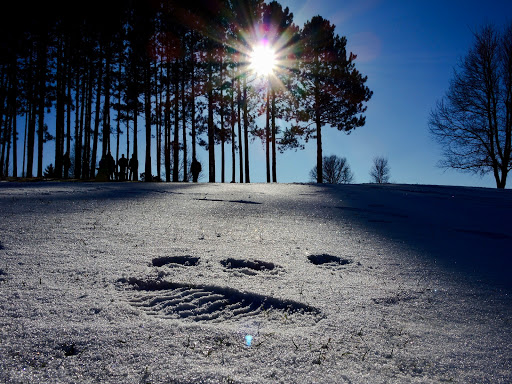 Golf Course «Eagle River Golf Course», reviews and photos, 457 McKinley Blvd, Eagle River, WI 54521, USA