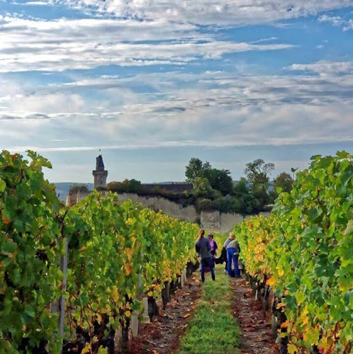 Wine Store «Birmingham Wine», reviews and photos, 588 N Old Woodward Ave, Birmingham, MI 48009, USA