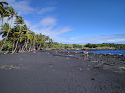 Punalu'u Beach'in fotoğrafı ve yerleşim