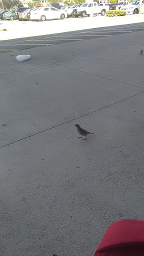 Thrift Store «Savers», reviews and photos, 24 Universal Blvd, Warwick, RI 02886, USA