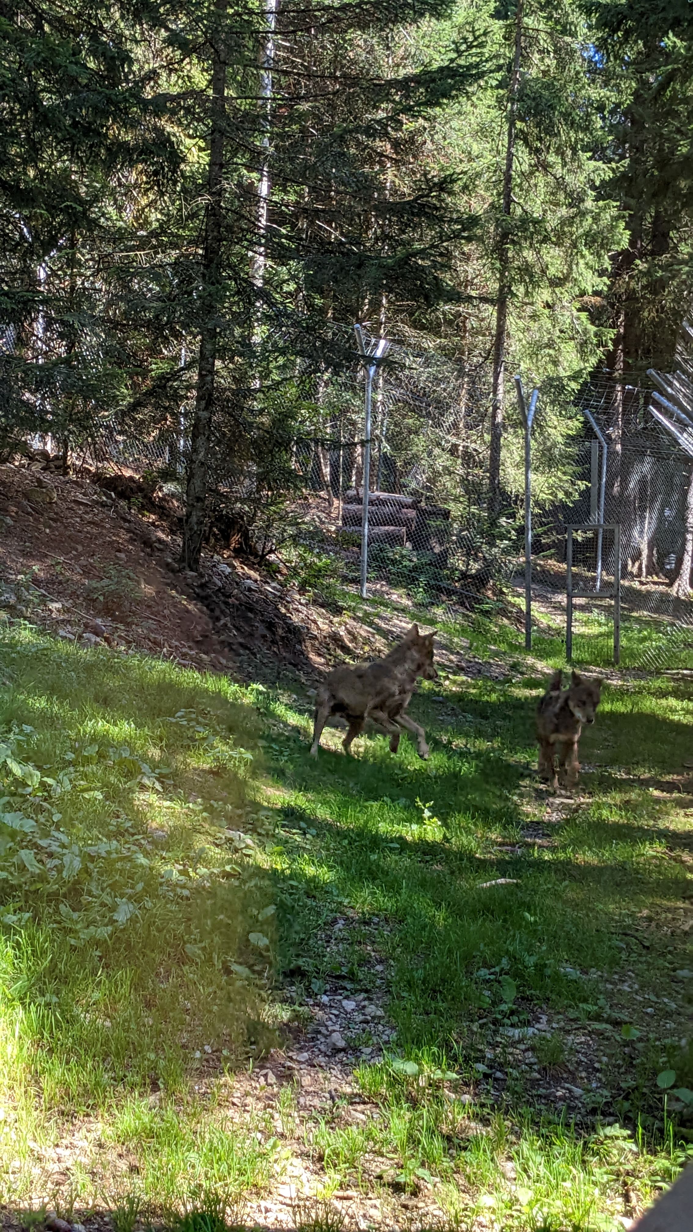 Photo n° 26 de l'avis de Florian.o fait le 11/09/2022 à 15:52