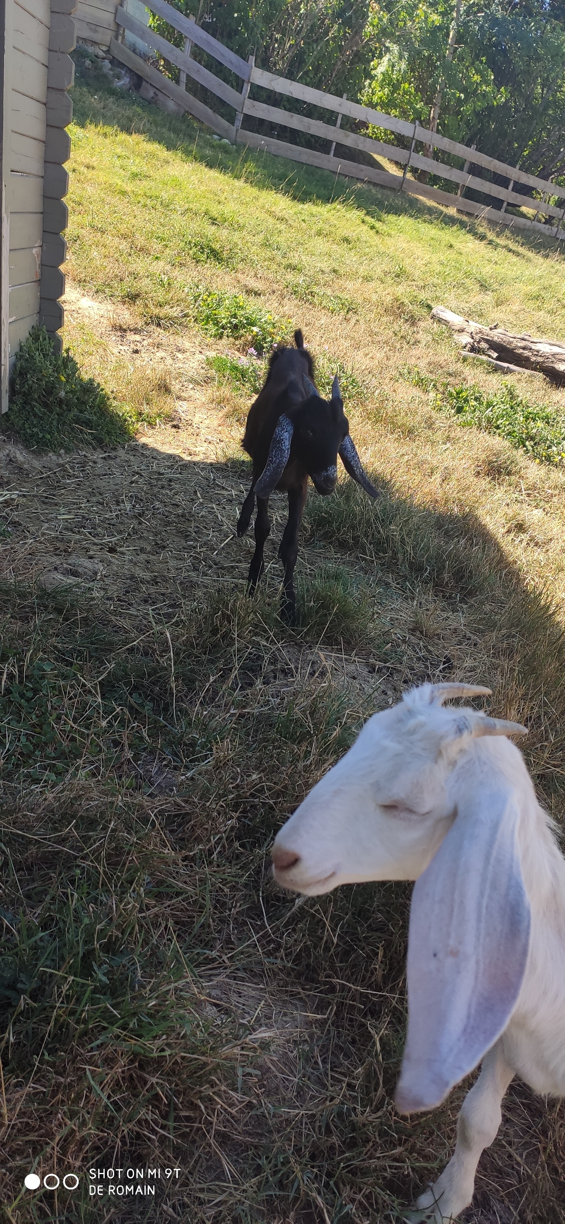 Photo n° 8 de l'avis de Romain.o fait le 12/07/2020 à 18:05