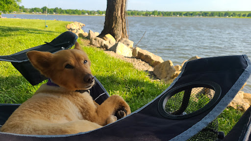 Animal Clinic of Susquehanna image