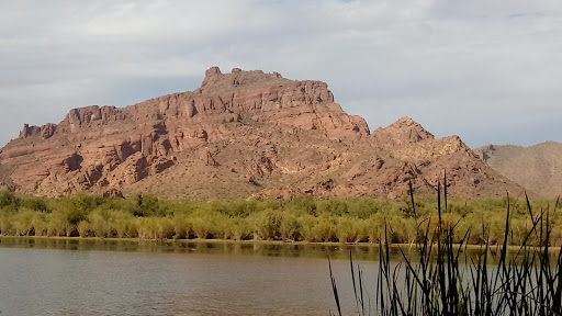 Tourist Attraction «Salt River Tubing», reviews and photos, 9200 N Bush Hwy, Mesa, AZ 85215, USA