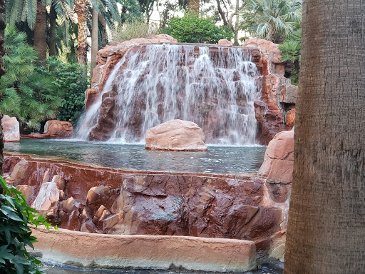 Hotel «The Mirage», reviews and photos, 3400 S Las Vegas Blvd, Las Vegas, NV 89109, USA