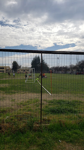 Opiniones de Cancha kennedy en Paine - Campo de fútbol
