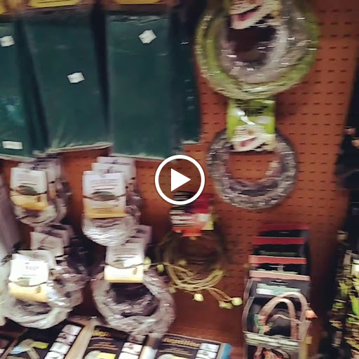 Pet Store «Gills And Thrills Pet Shop», reviews and photos, 204 E 8th St, Lockport, IL 60441, USA