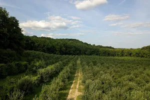 Windy Brow Farms image