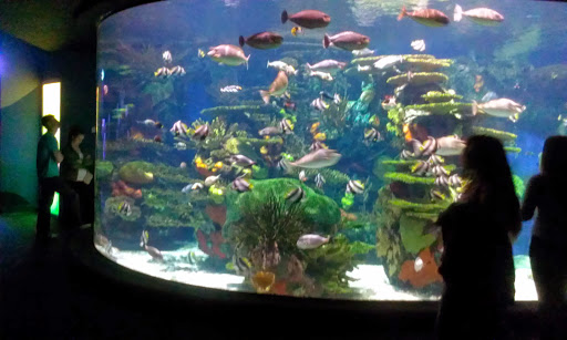 Tourist Attraction «Broadway at the Beach», reviews and photos, 1325 Celebrity Cir, Myrtle Beach, SC 29577, USA