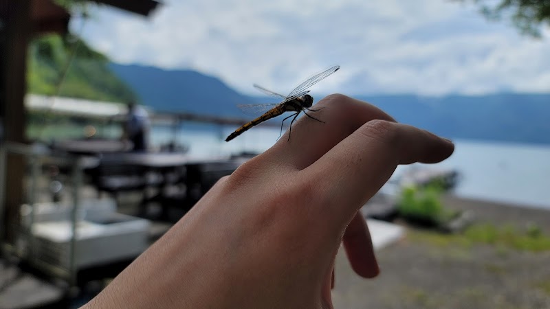 十和田湖マリンブルー 秋田県小坂町十和田湖休平 カフェ 喫茶 グルコミ
