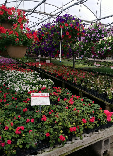 Plant Nursery «Blooming Acres», reviews and photos, 7561 State Rd, Wadsworth, OH 44281, USA