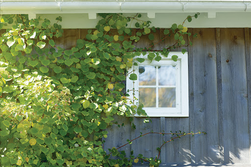 Paint Store «Enfield Paint», reviews and photos, 401 Enfield St, Enfield, CT 06082, USA