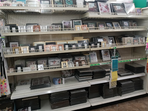 Dollar Store «Dollar Tree», reviews and photos, 9221 N 56th St, Temple Terrace, FL 33617, USA