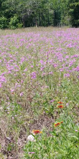 Golf Club «Kingwood Cove Golf Club», reviews and photos, 805 Hamblen Rd, Kingwood, TX 77339, USA