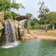 Asian Falls - Fort Worth Zoo