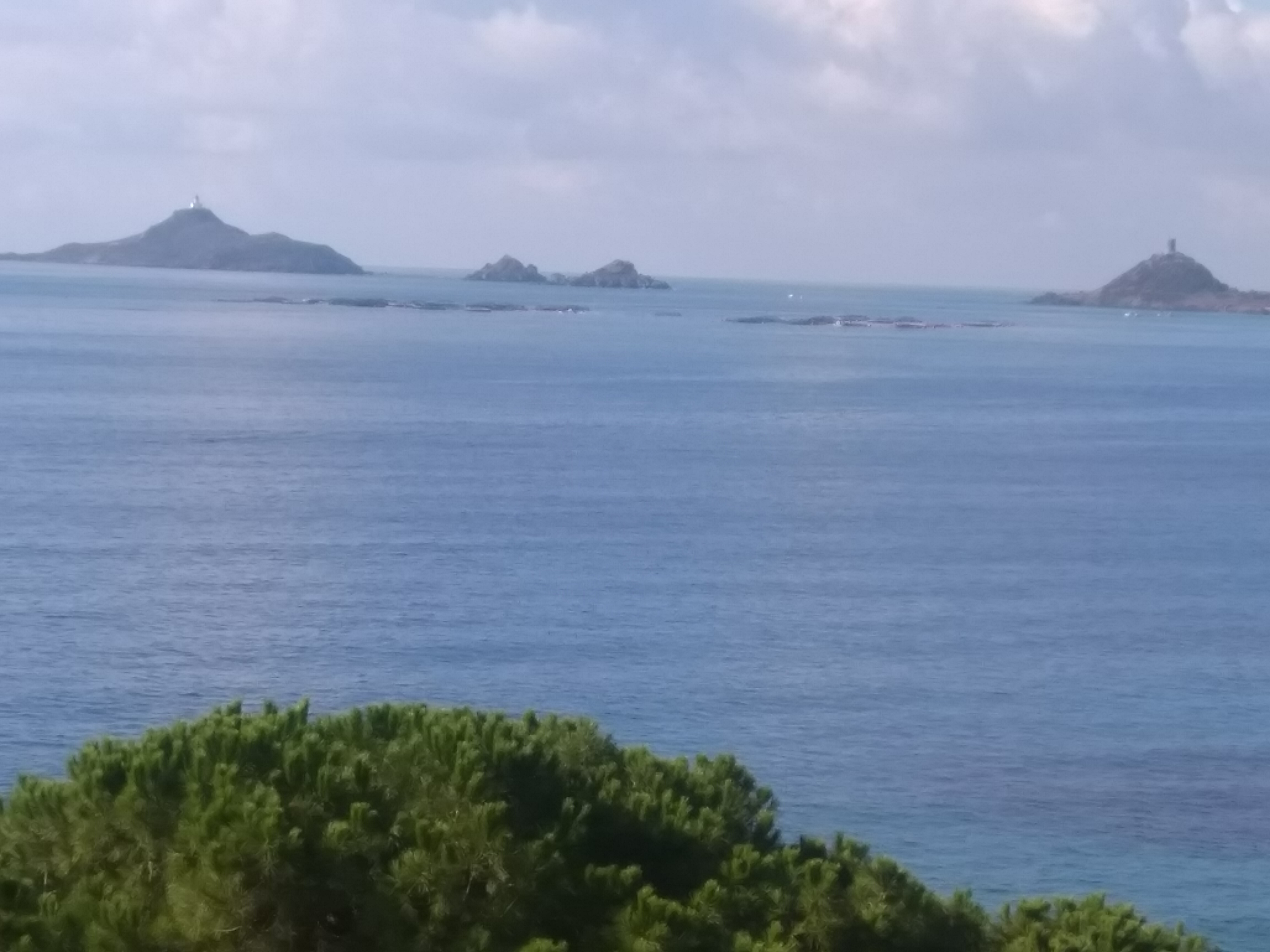 Photo n° 3 de l'avis de Annick.o fait le 01/11/2019 à 14:08